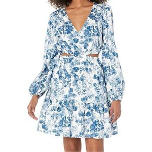 The Drop Floral Blue and White Dress
